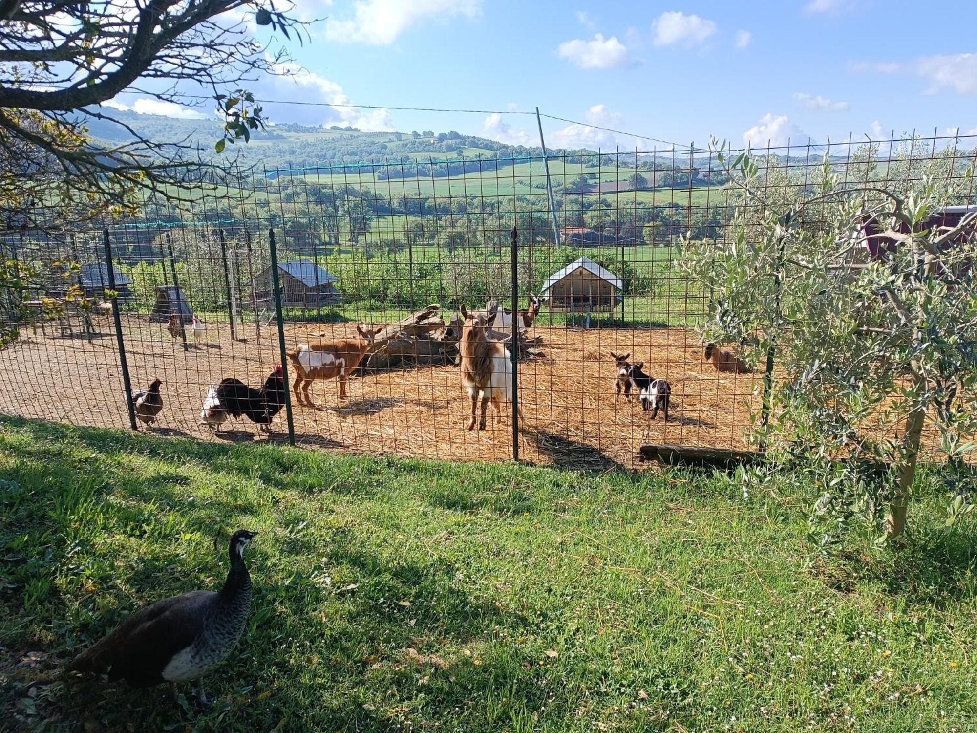 Villa La Piccola Fattoria Todi Exterior foto